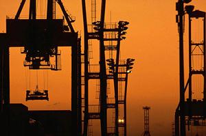 料理の可能性を広げる！調味料開発の魅力と活用法